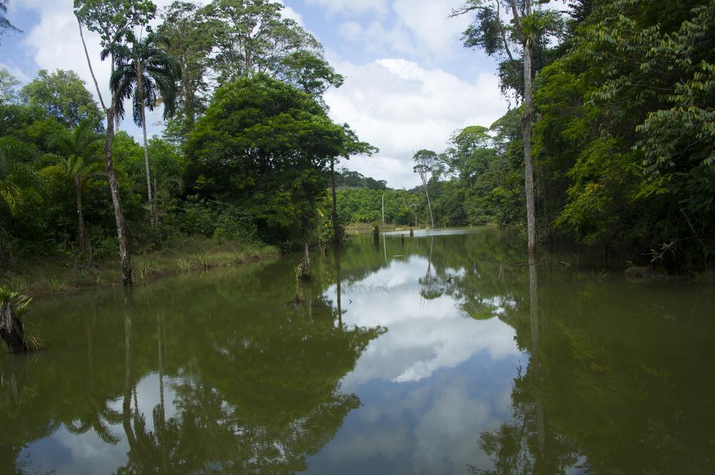 La Laguna Del Lagarto Eco-Lodge Pital  Ngoại thất bức ảnh