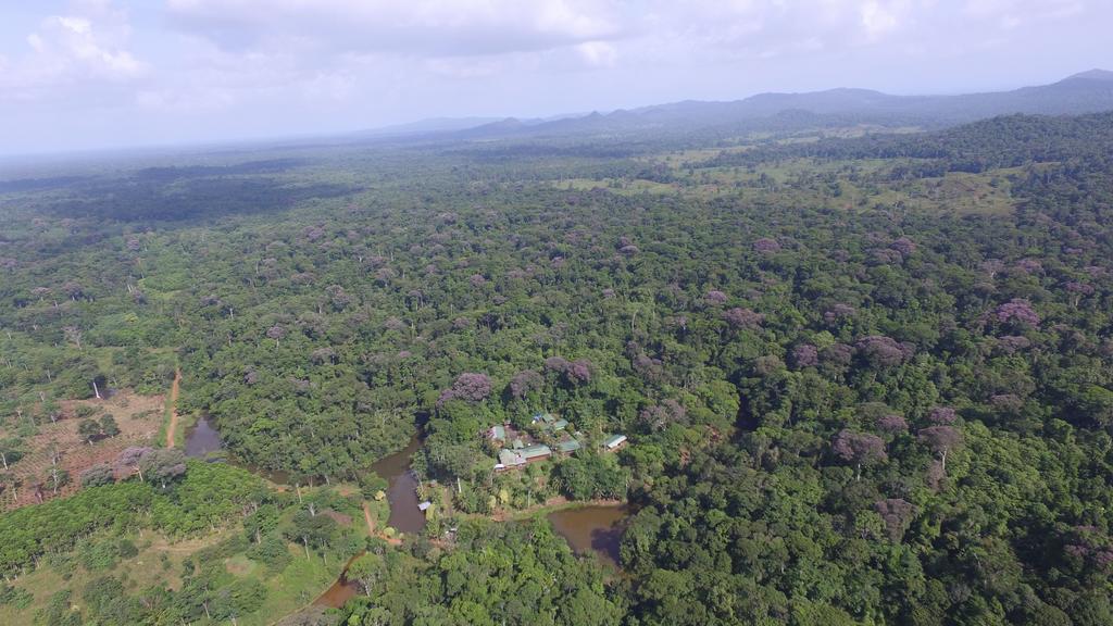 La Laguna Del Lagarto Eco-Lodge Pital  Ngoại thất bức ảnh