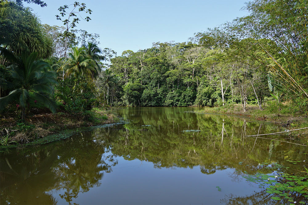 La Laguna Del Lagarto Eco-Lodge Pital  Ngoại thất bức ảnh