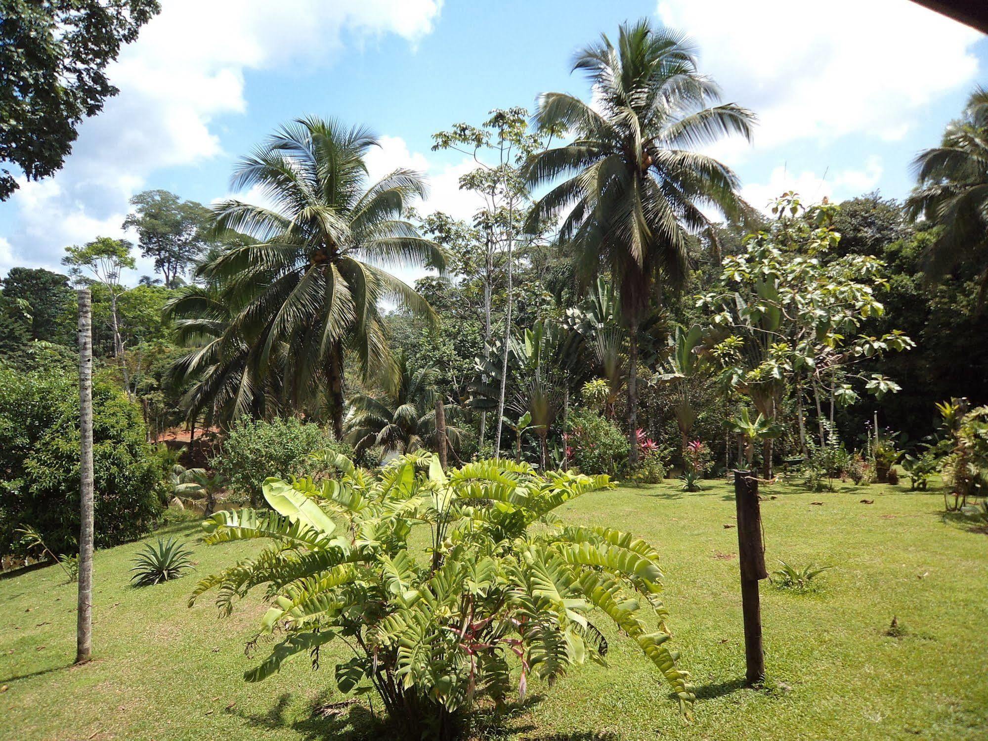 La Laguna Del Lagarto Eco-Lodge Pital  Ngoại thất bức ảnh