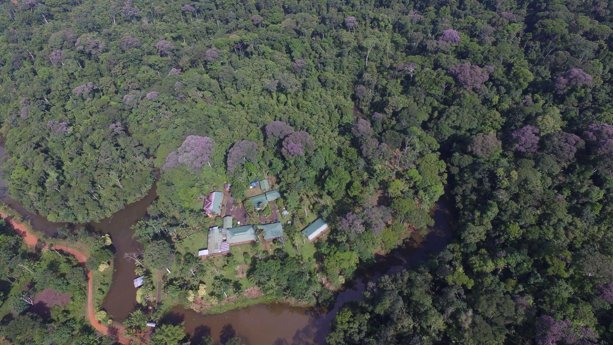 La Laguna Del Lagarto Eco-Lodge Pital  Ngoại thất bức ảnh
