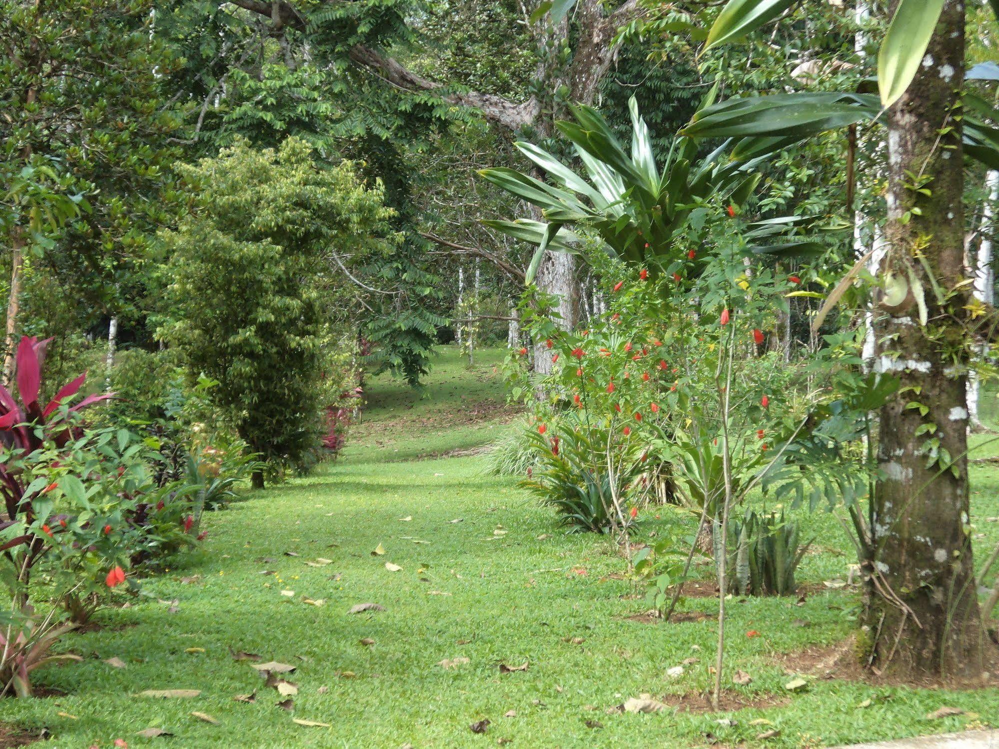 La Laguna Del Lagarto Eco-Lodge Pital  Ngoại thất bức ảnh