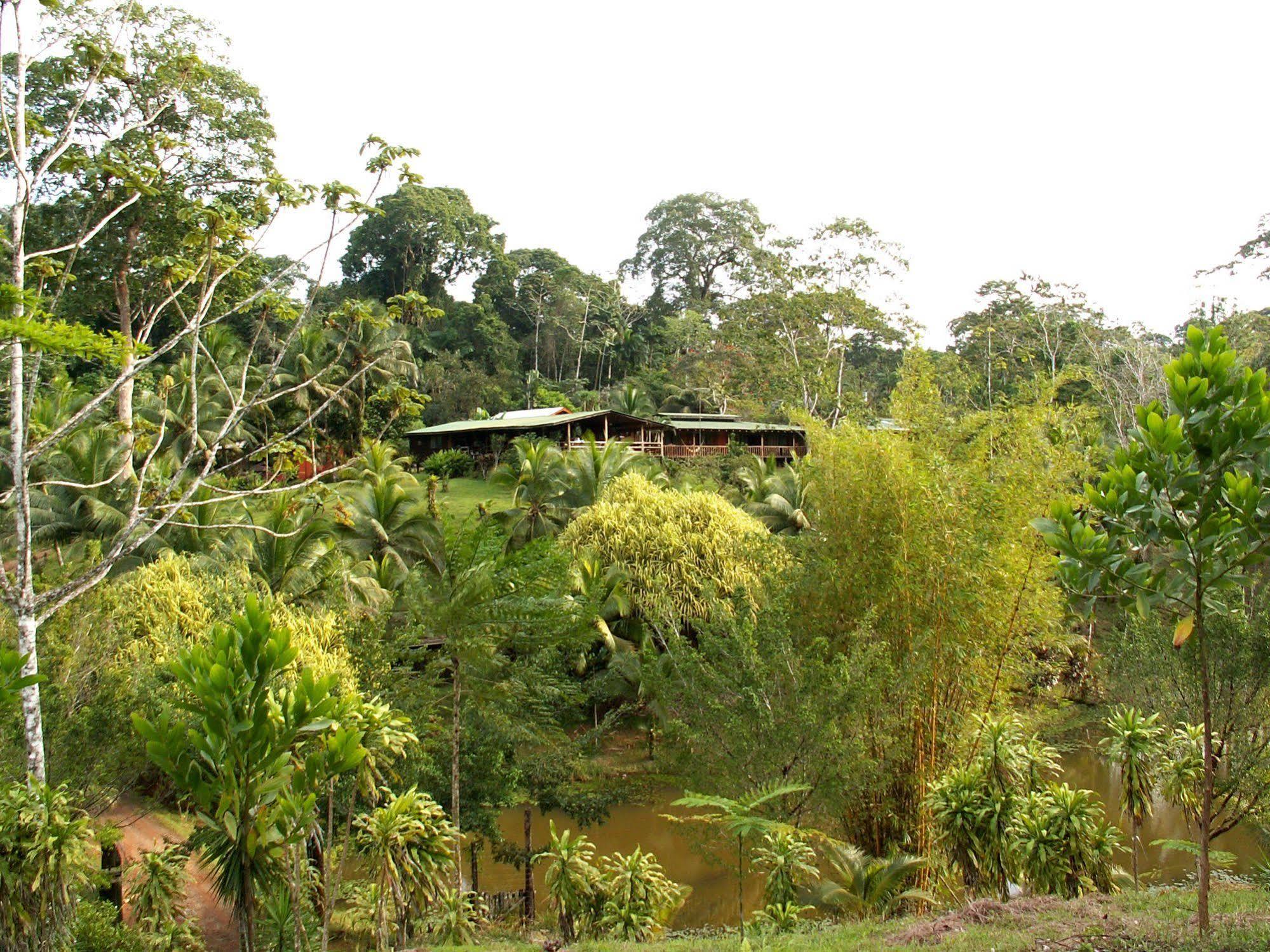 La Laguna Del Lagarto Eco-Lodge Pital  Ngoại thất bức ảnh