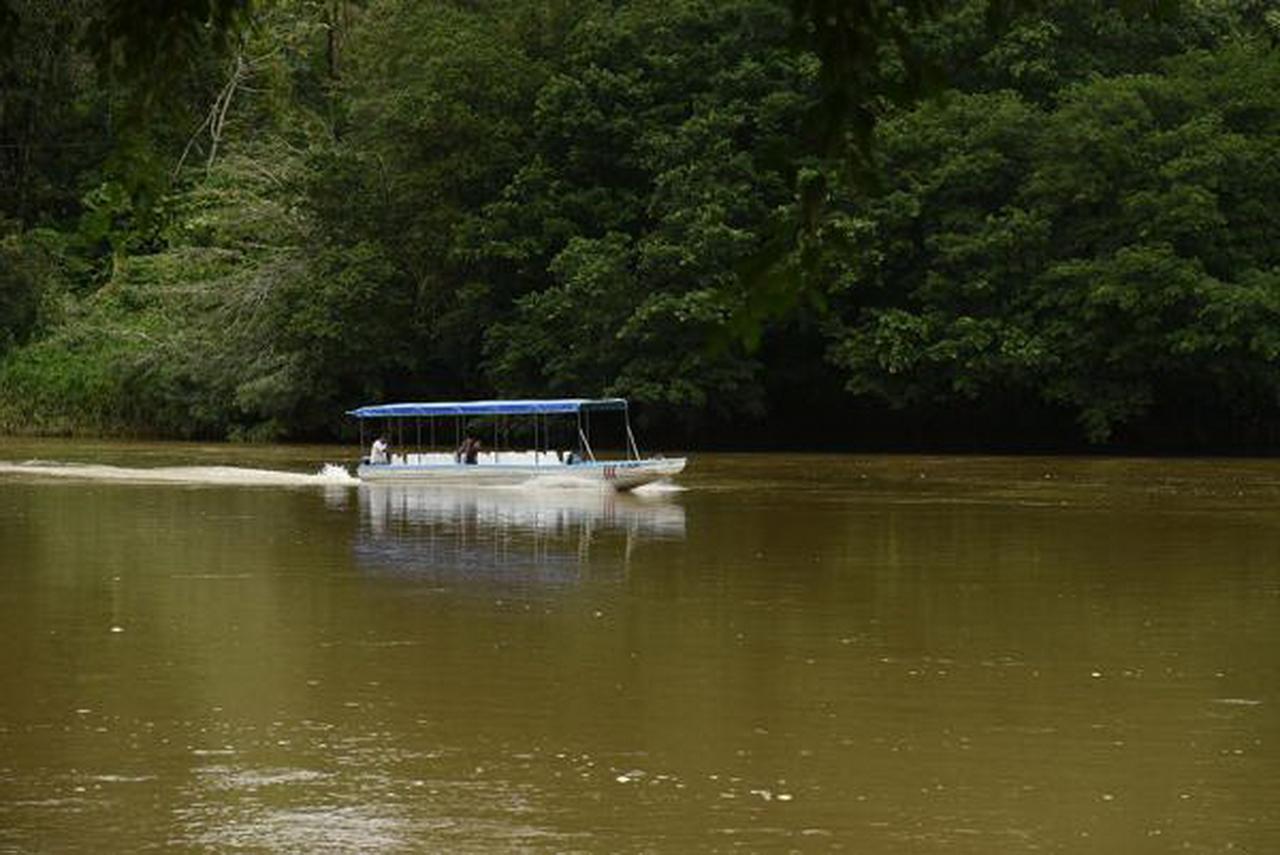 La Laguna Del Lagarto Eco-Lodge Pital  Ngoại thất bức ảnh